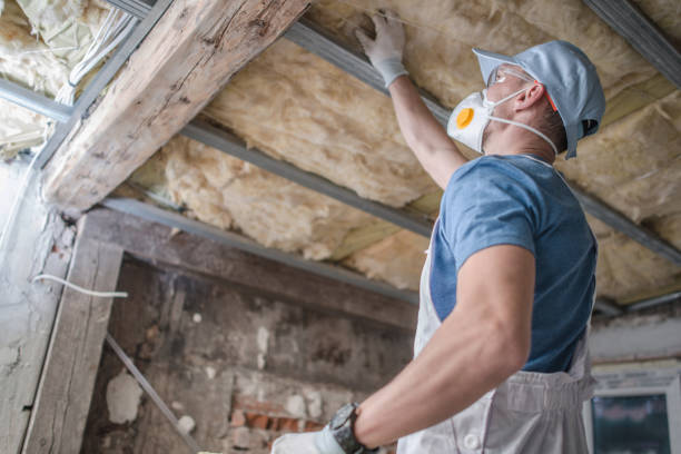 Best Insulation Inspection Services  in Williamstown, KY