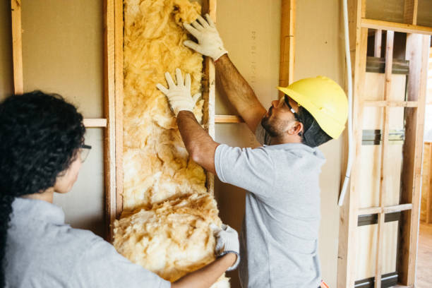 Best Fiberglass Insulation  in Williamstown, KY