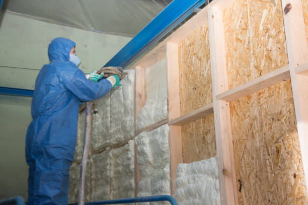 Reliable Williamstown, KY Insulation Contractor Solutions